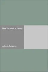 Cover of The turmoil, a novel