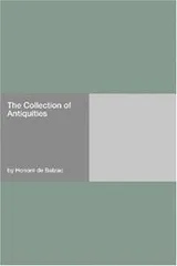 Cover of The Collection of Antiquities