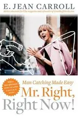 Cover of Mr. Right, Right Now!