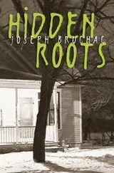 Cover of Hidden roots