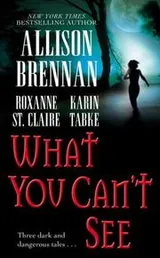 Cover of What You Can't See
