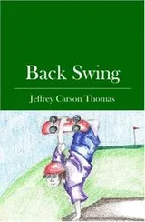 Cover of Back Swing