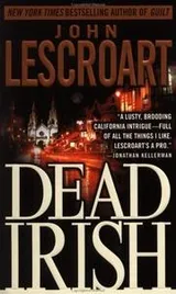 Cover of Dead Irish