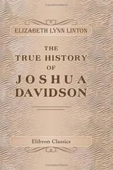 Cover of The true history of Joshua Davidson