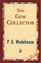 Cover of The Gem Collector