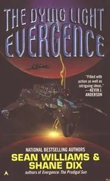 Cover of The dying light