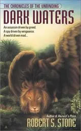 Cover of Dark waters