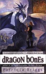 Cover of Dragon bones