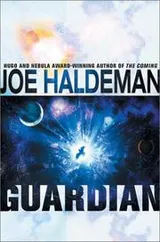 Cover of Guardian