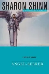 Cover of Angel-seeker