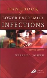 Cover of Handbook of lower extremity infections