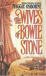 Cover of The Wives of Bowie Stone