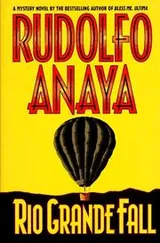Cover of Rio Grande fall