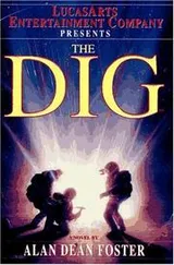 Cover of The Dig