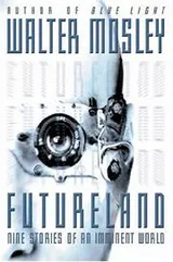 Cover of Futureland