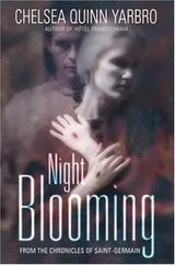 Cover of Night blooming