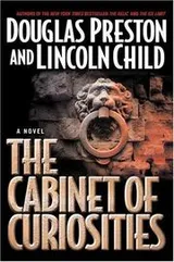Cover of The cabinet of curiosities