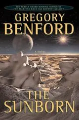 Cover of The sunborn