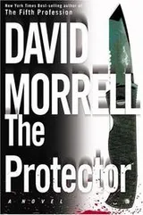 Cover of The protector