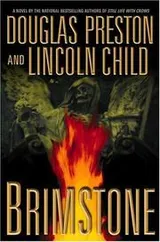 Cover of Brimstone