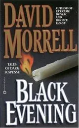 Cover of Black evening