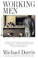 Cover of Working men