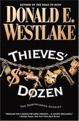 Cover of Thieves' dozen