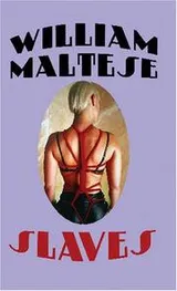 Cover of Slaves