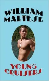 Cover of Young Cruisers
