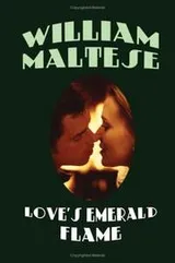 Cover of Love's Emerald Flame