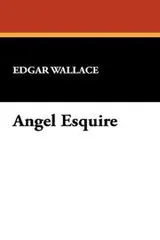 Cover of Angel Esquire