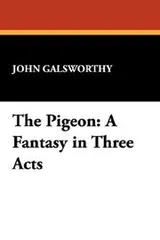 Cover of The pigeon