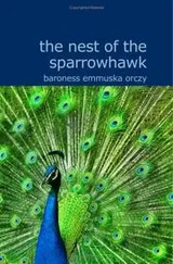 Cover of The Nest of the Sparrowhawk