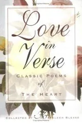 Cover of Love in Verse