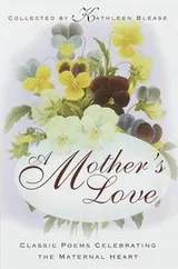Cover of A Mother's Love
