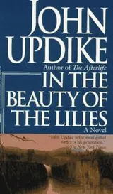 Cover of In the Beauty of the Lillies