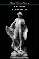 Cover of A Little Boy Lost