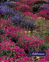 Cover of American Wildflowers