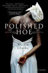 Cover of The Polished Hoe