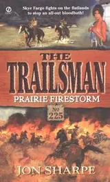 Cover of Trailsman 225