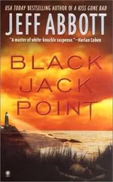 Cover of Black Jack Point