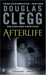 Cover of Afterlife