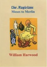 Cover of The Magicians