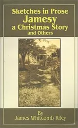 Cover of Sketches in prose