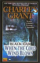 Cover of When the cold wind blows