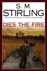 Cover of Dies the fire