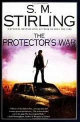 Cover of The protector's war