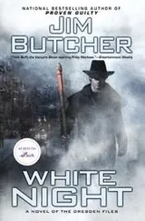 Cover of White Night (The Dresden Files, Book 9)