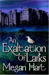 Cover of An Exaltation of Larks
