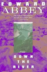 Cover of Down the river